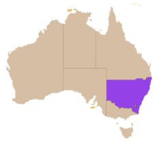 New South Wales Flag